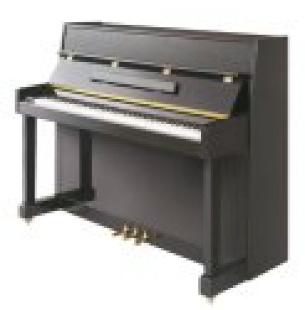 Stone Mayer UP 110 Piano Black set including bank and coasters - Bands - 56 Langney Road Eastbourne, East Sussex 