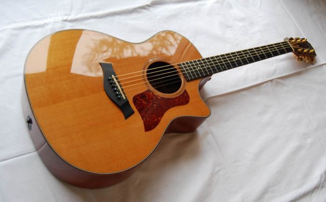 Taylor 514ce ES - Saiteninstrumente Akustisch - Deggendorf