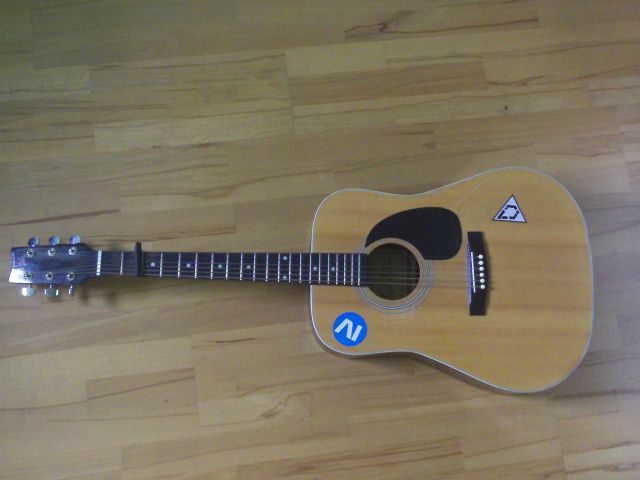 Westerngitarre -Ken Rose- zu verkaufen - Saiteninstrumente Akustisch - Neumünster