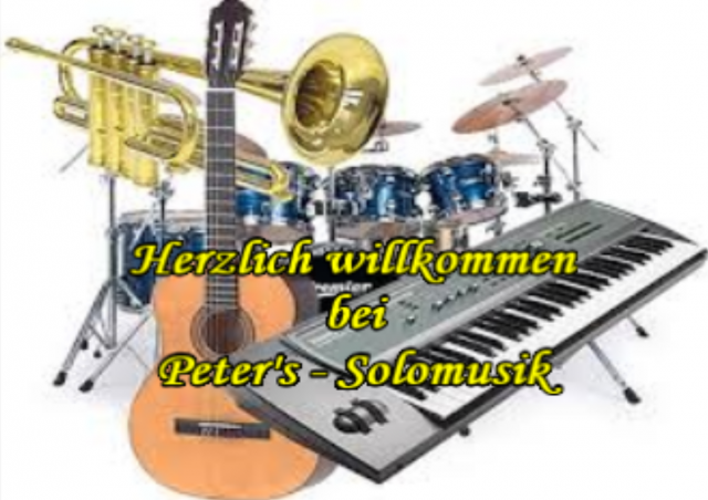 Peters Solomusik  Alleinunterhalter - Musiker - Bubenreuth