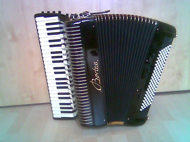 Musikstudent bietet Untterricht für Akkordeon und Klavier an. - Musikunterricht - Balingen