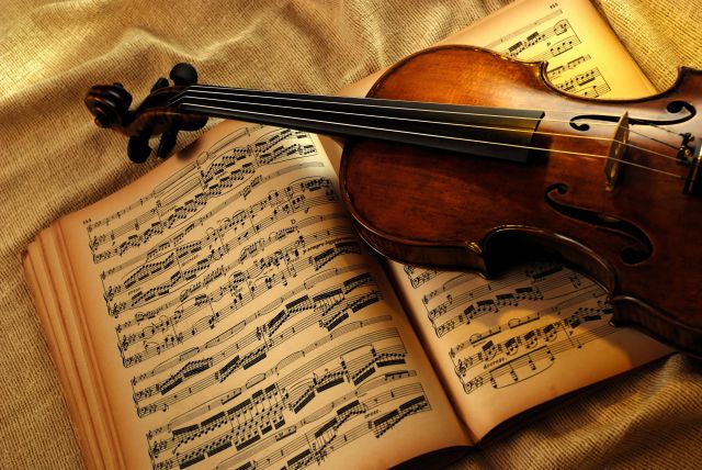 Qualifizierter Geigenunterricht/Violinenunterricht in München - Musikunterricht - München
