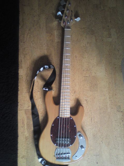 Verkaufe Stagg MB300/ 5-N Bass + Zubehör - Saiteninstrumente Elektr - Unna