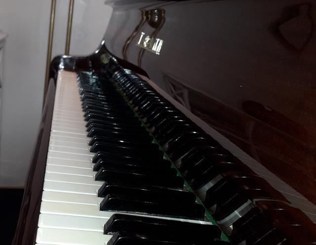 Gesangsunterricht und Klavierunterricht in Solms - Musikunterricht - Solms