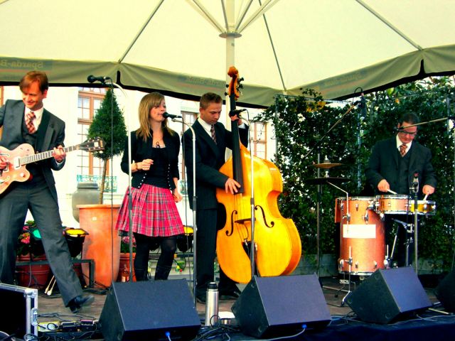 Berlin: vielseitiger KONTRABASSIST GESUCHT für prof. Retro-Pop/Swing/Soul-Band - Musiker - Berlin