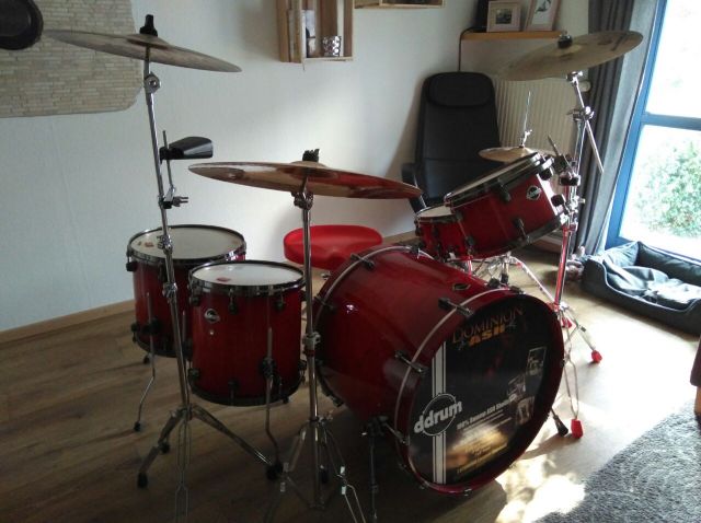 DDrum Dominium ASH in Maple red VB 550 Euro - Drums Percussion - Rühen