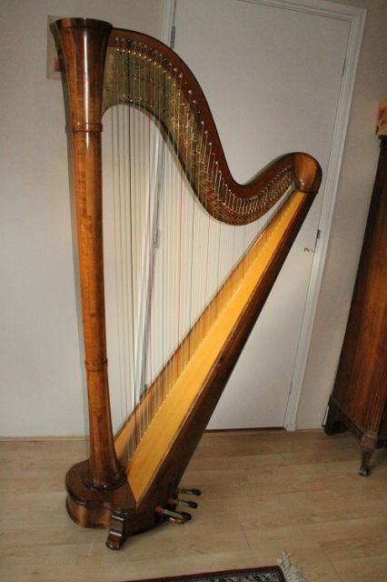 Harfe Konzertharfe 46 Saiten - Saiteninstrumente Akustisch -  t Loo Oldebroek