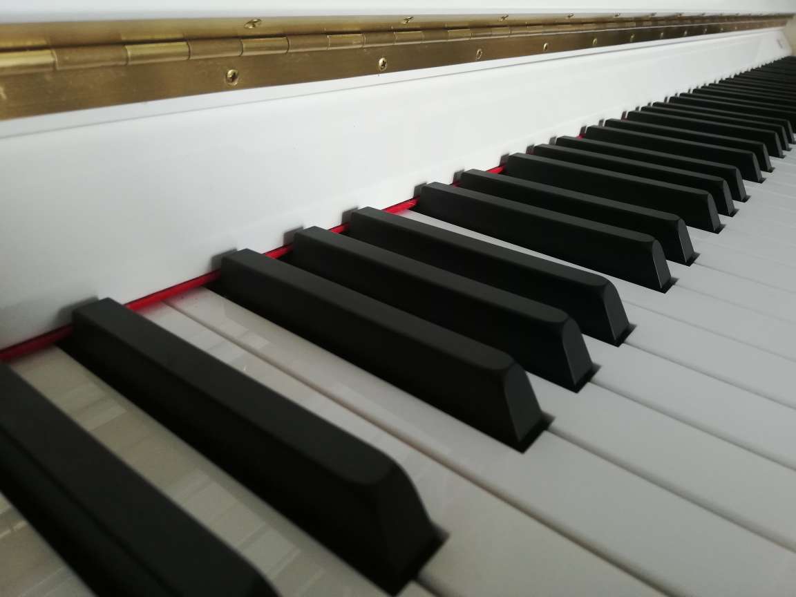 Klavierunterricht für Kinder und Erwachsene  - Musikunterricht - Hamburg