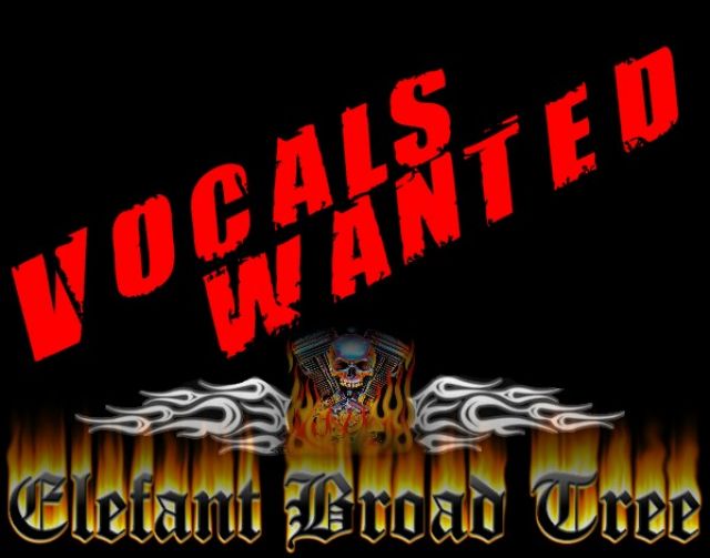 Rock-Vocals-Wanted Bochum  - Bands - Bochum