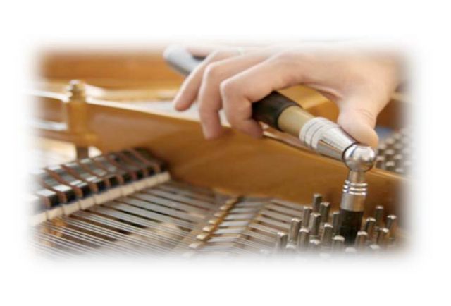  Ich bringe Ihr Instrument in Stimmung! - Tasteninstrumente Akustisch - Köln