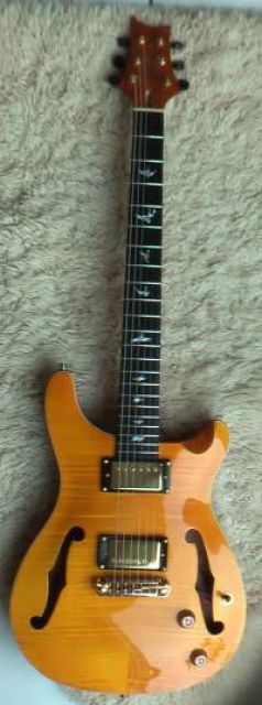 Schöne PRS Kopie Halbresonanz Gitarre  - Saiteninstrumente Elektr - Freiburg