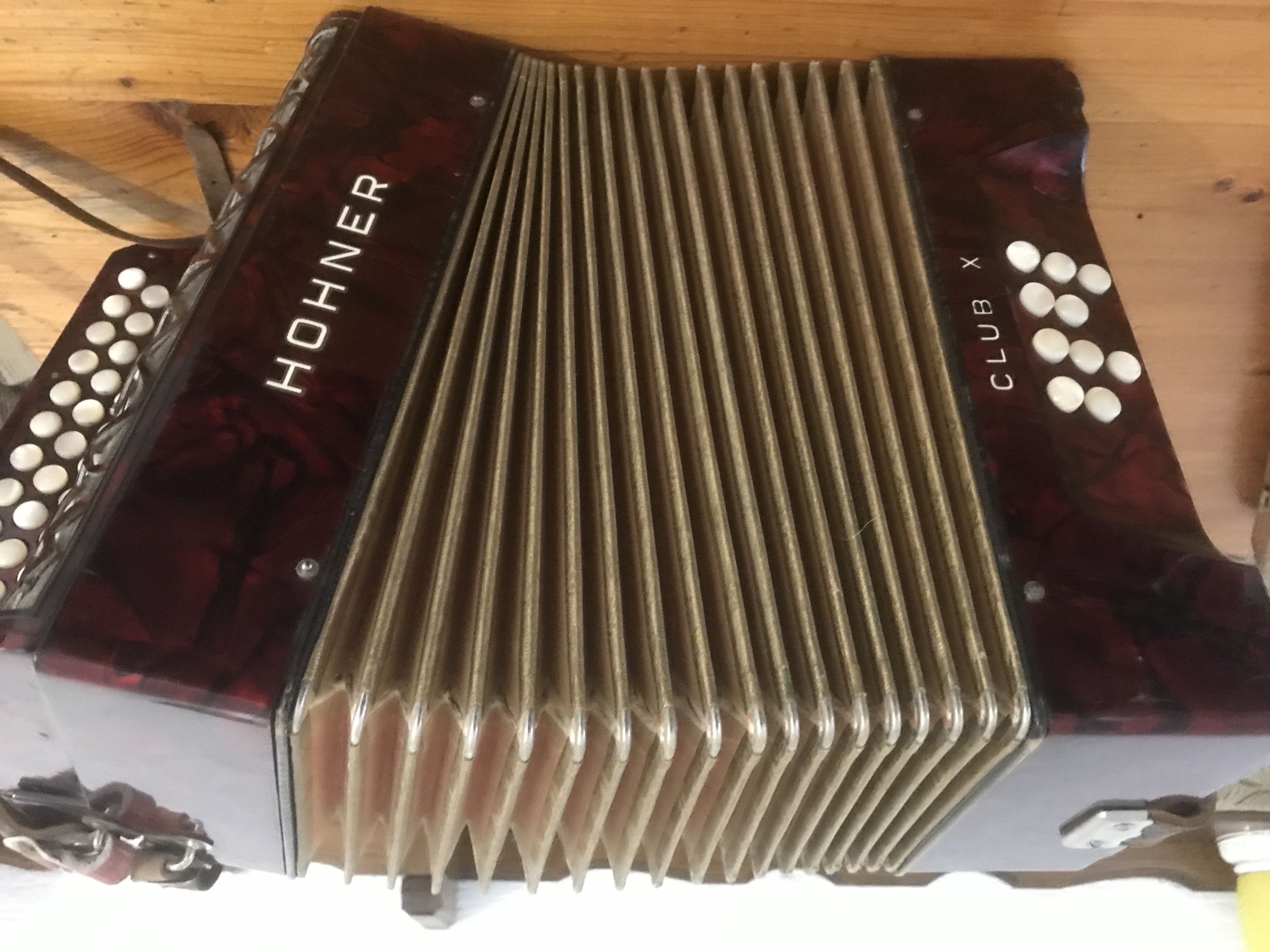 Hohner Akkordeon  - Tasteninstrumente Akustisch - Obertrubach 