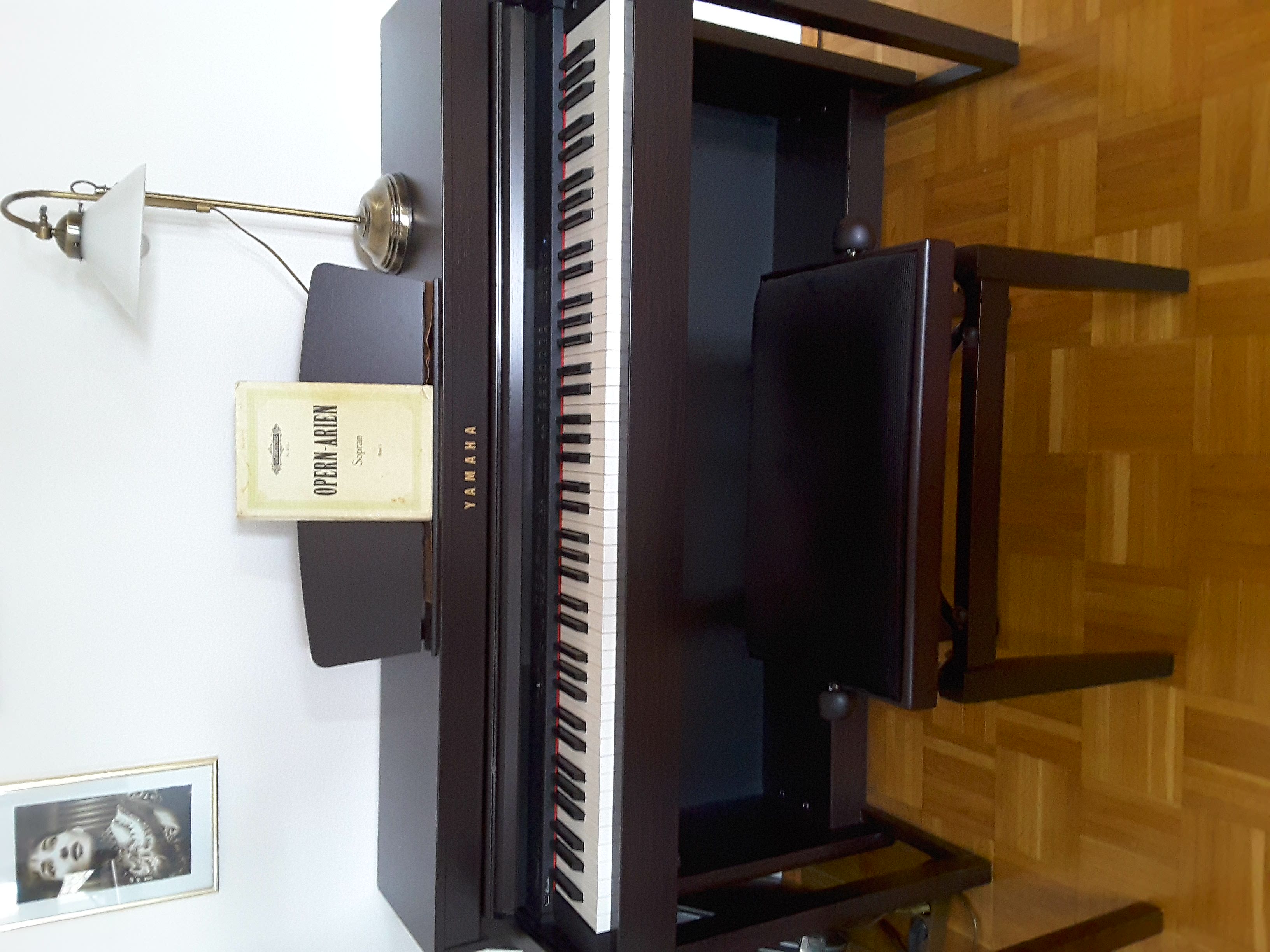 Gesangsunterricht  für Anfänger und Profis - Musikunterricht - München - Obergiesing