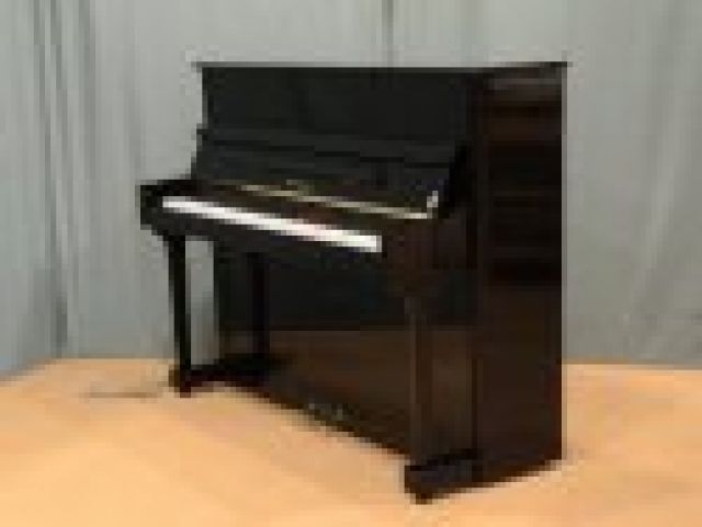 Thomas Stelzer 117 PE G Piano  - Bands - 56 Langney Road Eastbourne, East Sussex 