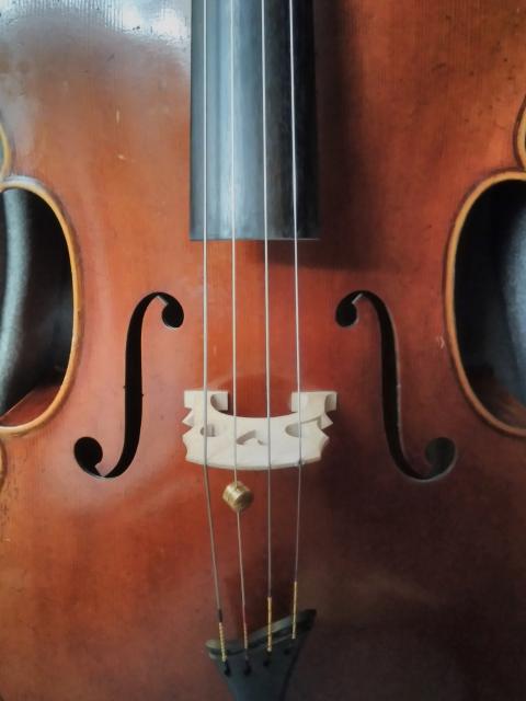Cellounterricht in Goch - Musikunterricht - Goch