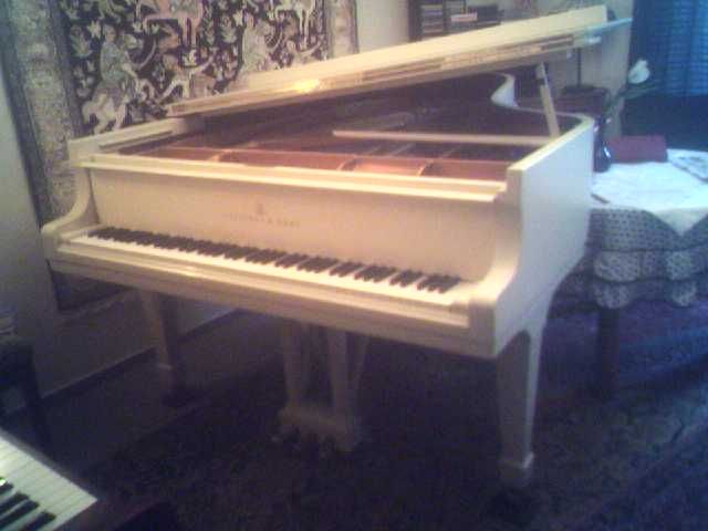 Steinway & Sons Modell B-211, Baujahr 1981, Weiß poliert - Tasteninstrumente Akustisch - Gütersloh