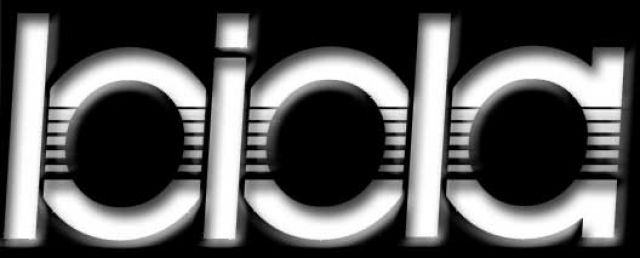 Gitarrenunterricht in Bern und Thun - Saiteninstrumente Elektr - 