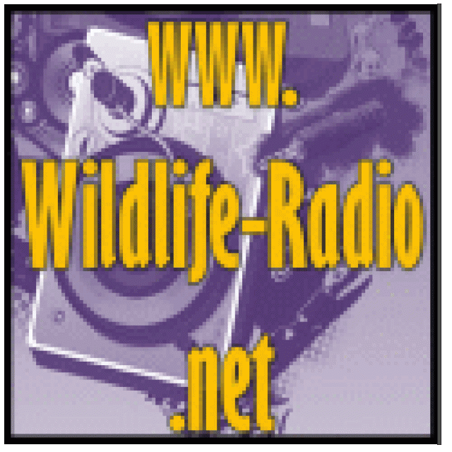 Moderatorensuche - Dj - Hemer