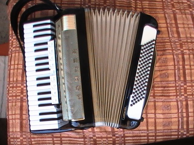 Hohner Lucia III Akkordeon, schwarz, Bj. 78, 3 chörig, 96 Bässe, neu gewartet, - Tasteninstrumente Akustisch - Stuttgart - Bad Cannstadt