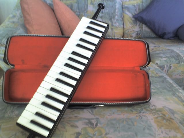 Verkaufe Hohner Melodica Piano 3C, VB 100,- EUR - Blasinstrumente - Lindenberg