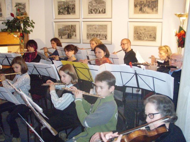 QUERFLÖTENUNTERRICHT BERLIN - Blasinstrumente - Berlin