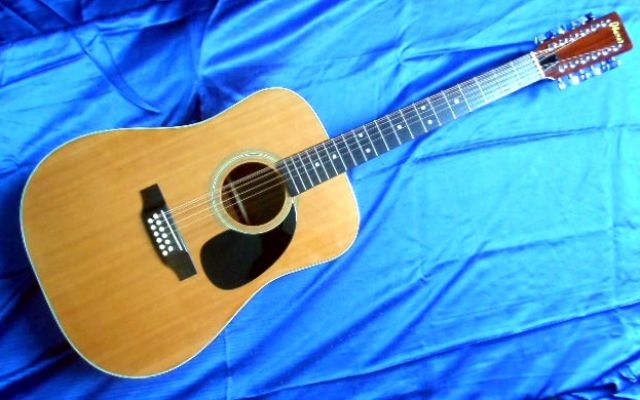 12-SAITIGE GITARRE   IBANEZ  - Saiteninstrumente Akustisch - Kiel